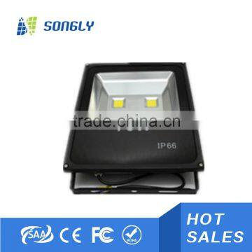 30w 50W LED Flood Light for playground