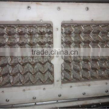henan egg tray machine