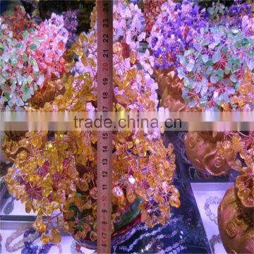 2015 Decorated Live Christmas Trees for Sale photo-6