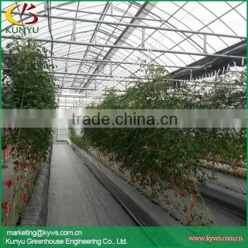 substrates hydroponic greenhouse for tomato cucumbers peppers lettuce