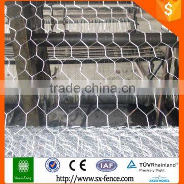 Anping Factory Direct Hexagonal Wire Netting With Best Price and Quality photo-5