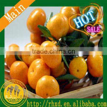 2016 Fresh Fruits Mandarin Orange