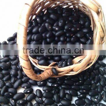 Chinese Small Black Kidney Bean( 2011 crop, hps, grade 1. heilongjiang origin)