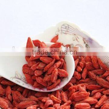 bulk goji berries--production base