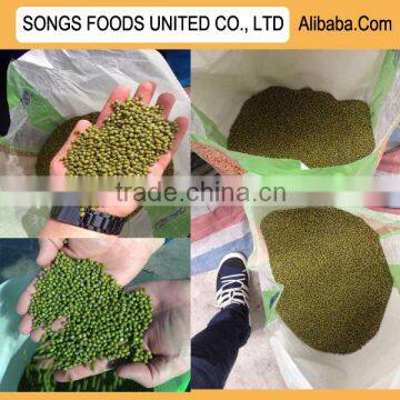 New crop hot sale green mung beans specification
