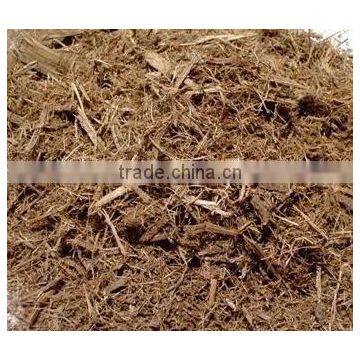 Sugarcane bagasse For Animal Feed competitive price from Vietnam