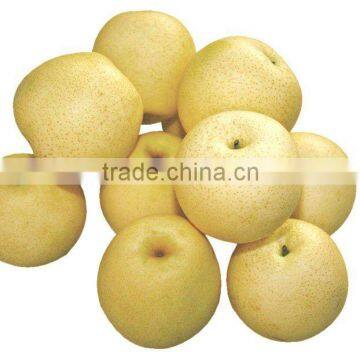 chinese gong pear