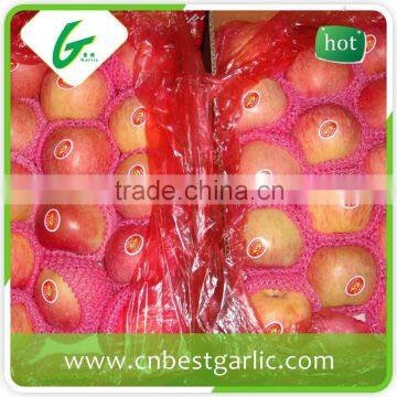 Honey fresh fuji apple from China