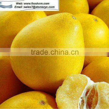 Chinese pomelo, fresh pomelo on sale