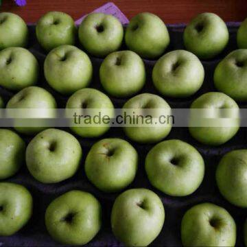 ISO FDA Certification Fresh Gala Apple From China