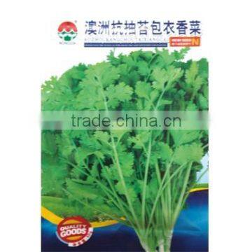 High Quality Caraway Seeds Coriander Seeds For Growing-Bolting Resistance Coated Caraway Seeds