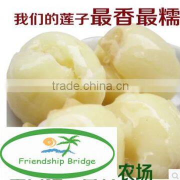 Nelumbo Nucifera Gaertn Lotus Nut Lotus Seeds photo-2