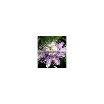 Passiflora Incarneta extract powder