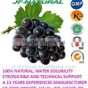 100% natural Functional powder OPC grape seed extract manufacture in China
