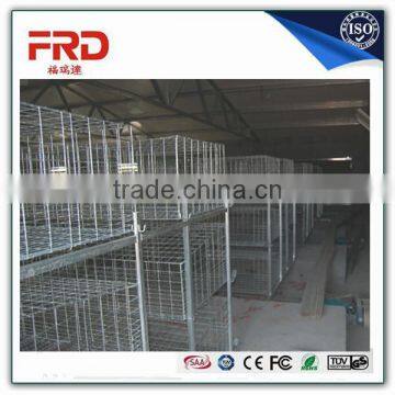 FRD Wholesale Cheap Welded Wire Poultry Farm Layer Chicken Egg Cages(A Type & H Type Layer Chicken Cage) /design layer chicken c