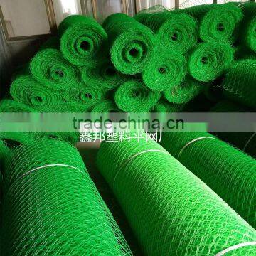 plastic mesh/plastic wire mesh/plastic mesh netting