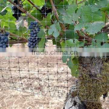 bird mist nets for agriculture