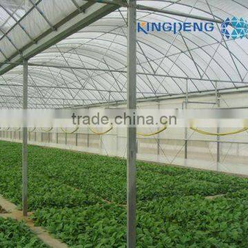 Agricultural Plastic Film Greenhouse With Arch Roof photo-2