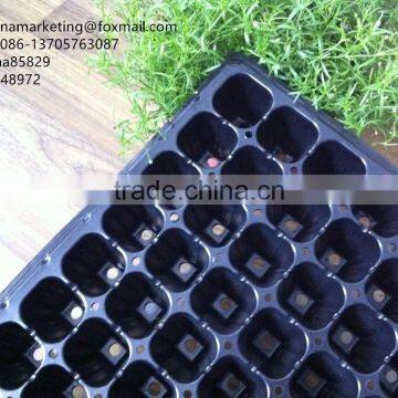 High Quality Vegetable Plastic Nursery Seedling Tray Black Plastic Plant Seed Growing Tray photo-6