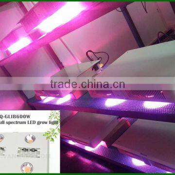 Professioanl Grow Light Bulbs 600W Led Grow Light Bulbs photo-5