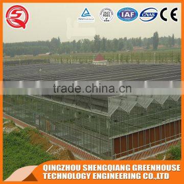 China Direct Multifunction Venlo Greenhouse for Plant Flowers photo-2