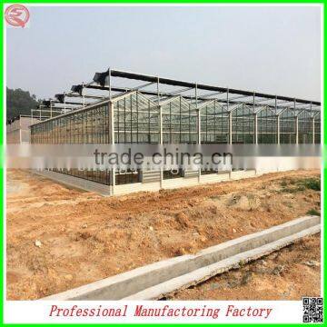 China Venlo Polycarbonate Sheet Greenhouse With Vegetable Seeds photo-3