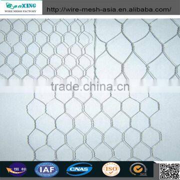Hexagonal Hole Shape and Galvanized Iron Wire Material Hexagonal Wire Mesh photo-3