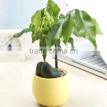 Mini Round Plastic Plant Flower Pot Home Office Decor Planter
