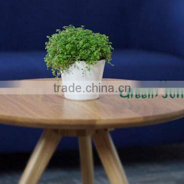 Used Nursery Flower Pots Nursery Pots Supplies photo-3