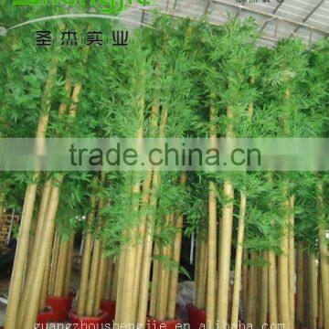 SJLJ013211 artificial tree and plant / fake plastic bamboo plant for home / garden decoration