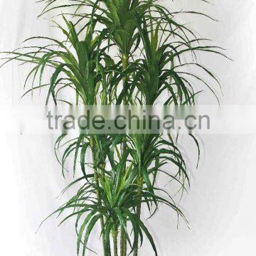 Office Decorative Green Plants photo-2
