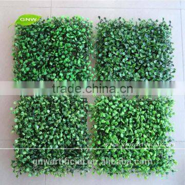 Artificial Grass for Garden as Artificial Boxwood Mat Wall and Fence Decoration in Guangzhou BOX011-1 GNW photo-2