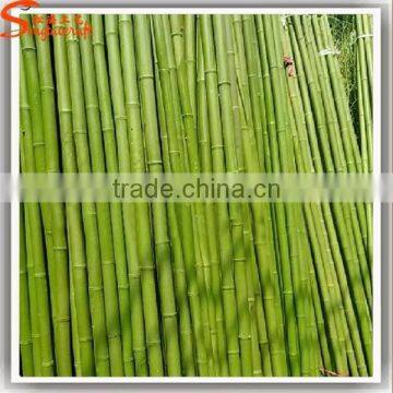 Hot Sale Home Garden Dry Decoration Customized Height Artificial Outdoor Green Lucky Bamboo photo-2