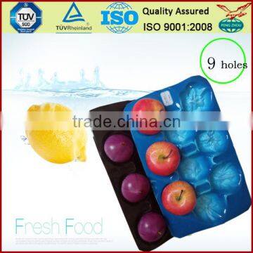 Canada Popular Wholesale Greenhouse Agriculture Products Packaging Plastic Tomato Tray photo-4