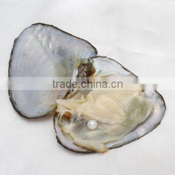 2017 New Fashion Jewelry Freshwater Cultured Pearl Oyster Potato Mixed Colors photo-5