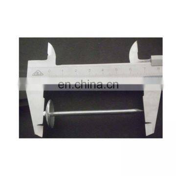 Galvanized Umbrella Large Head Roofing Nails