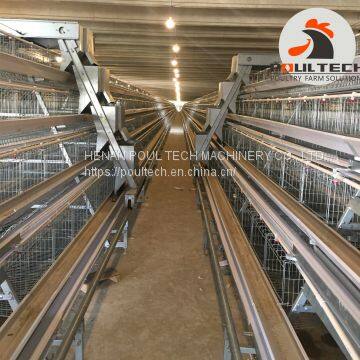 Layer Chicken Cage Equipment for Poultry Farm photo-4