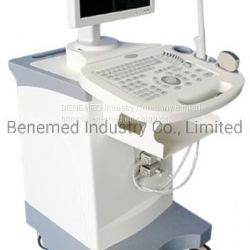 Trolly Build-in Black and White Ultrasound Scanner Diagnostic Equipment