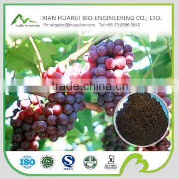 100% natural grape seed P.E./grape seed extract powder