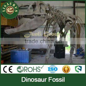 Lisaurus-0802 Fiberglass sculpture of Sciences skeleton Dinosaur Fossil