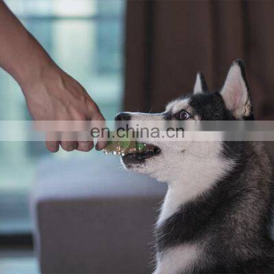 Factory Supply Pet Chew Toy Best Interactive Dog Toys Bite Toy photo-2