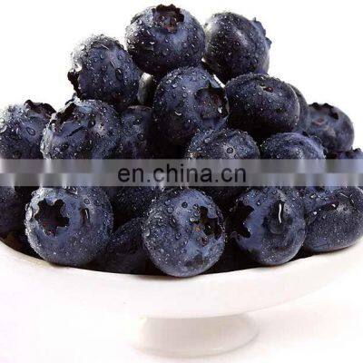 Sinocharm BRC-A Approved 12-16mm IQF Blueberries 15% Brix Whole Frozen Blueberry