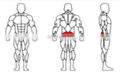 Professional Fitness Equipment Gym Wholesale Super ASJ-A018 Glute Machine Hip Trainer Machine photo-4