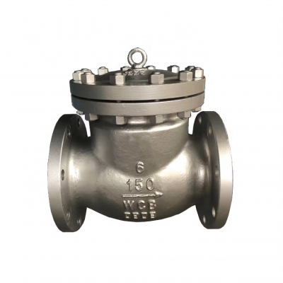 ANSI Check Valve H44H/H44W-150LB DN300 WCB Cast Steel Ductile Iron Stainless Steel Swing Flange Check Valve photo-3
