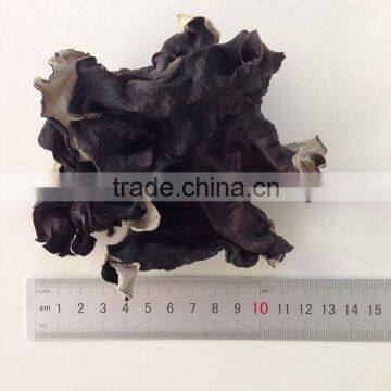 Dried White Back Black Tree Fungus Strips