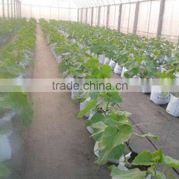 Heavy duty plastic pot for growing bag