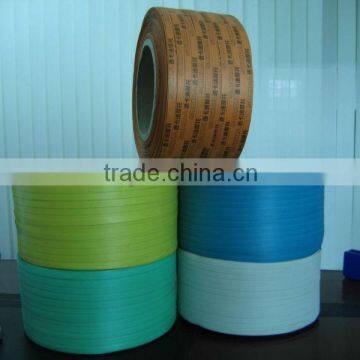 pp Strapping photo-3