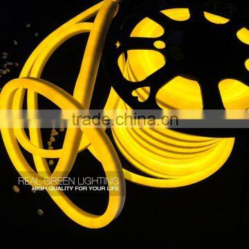 220V LED Neon Flex Rope Light