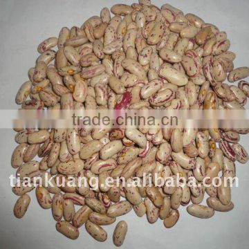 2011 crop light speckled kidney beans