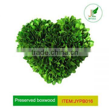 JYPB016 with pure Handicraft Preserved Boxwood topiary